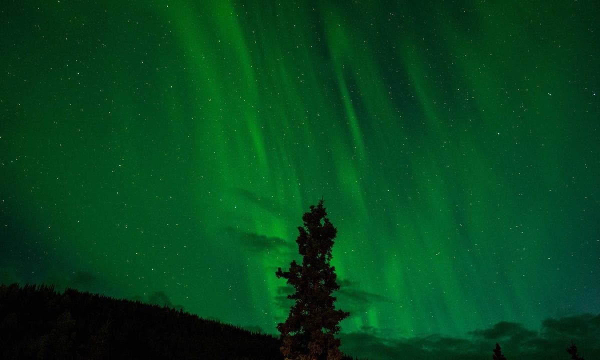 Kurumsal web siteniz için modern ve hızlı bir arayüz tasarlayacağım