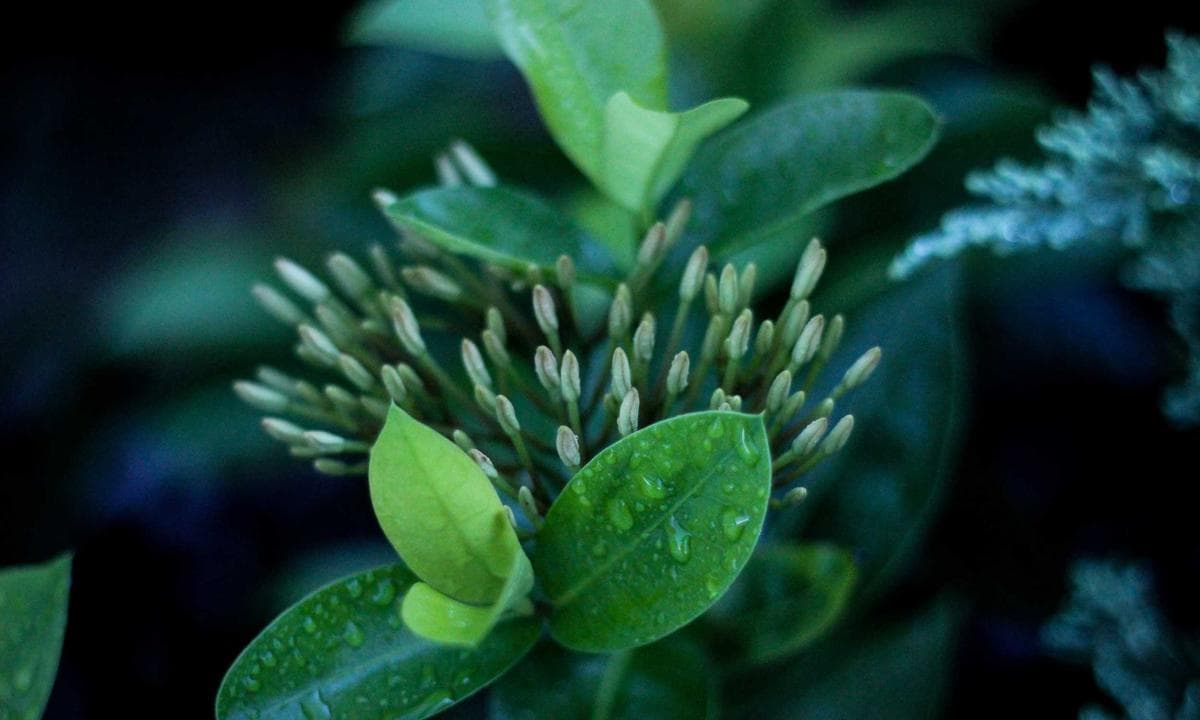 Markanız için SEO uyumlu blog ve içerik seti hazırlayacağım