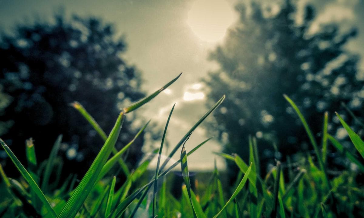 Ürününüz için kısa tanıtım videosu ve sosyal kurgu teslim edeceğim