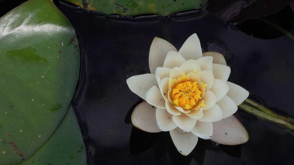 Kurumsal vitrin — örnek proje