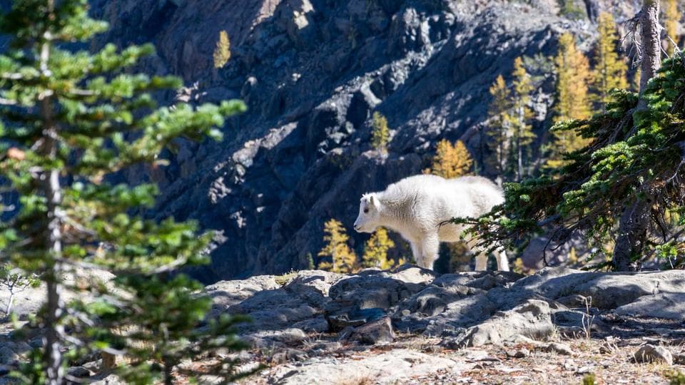 Kurumsal vitrin — örnek proje